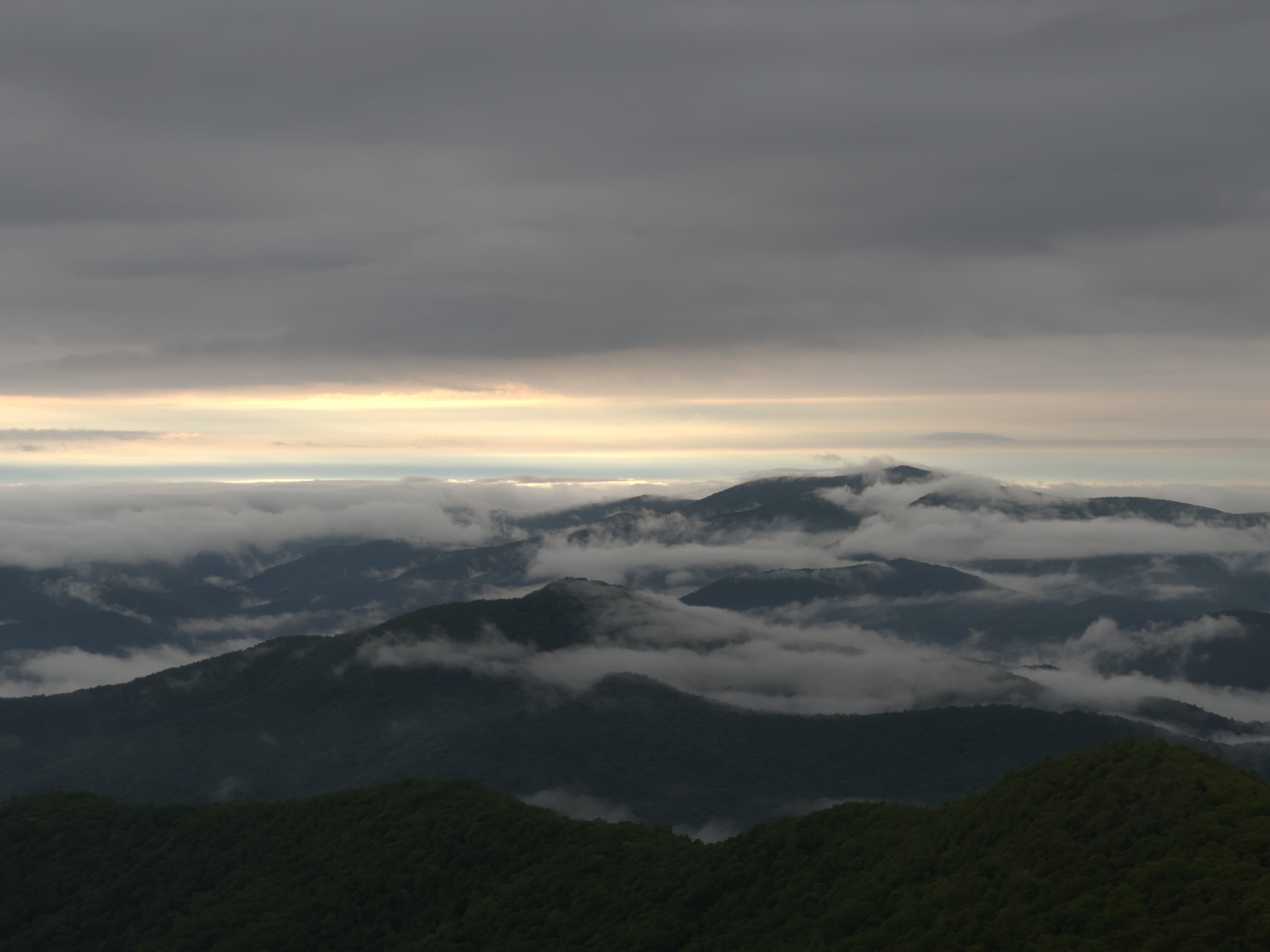 Brasstown Bald — Frame I