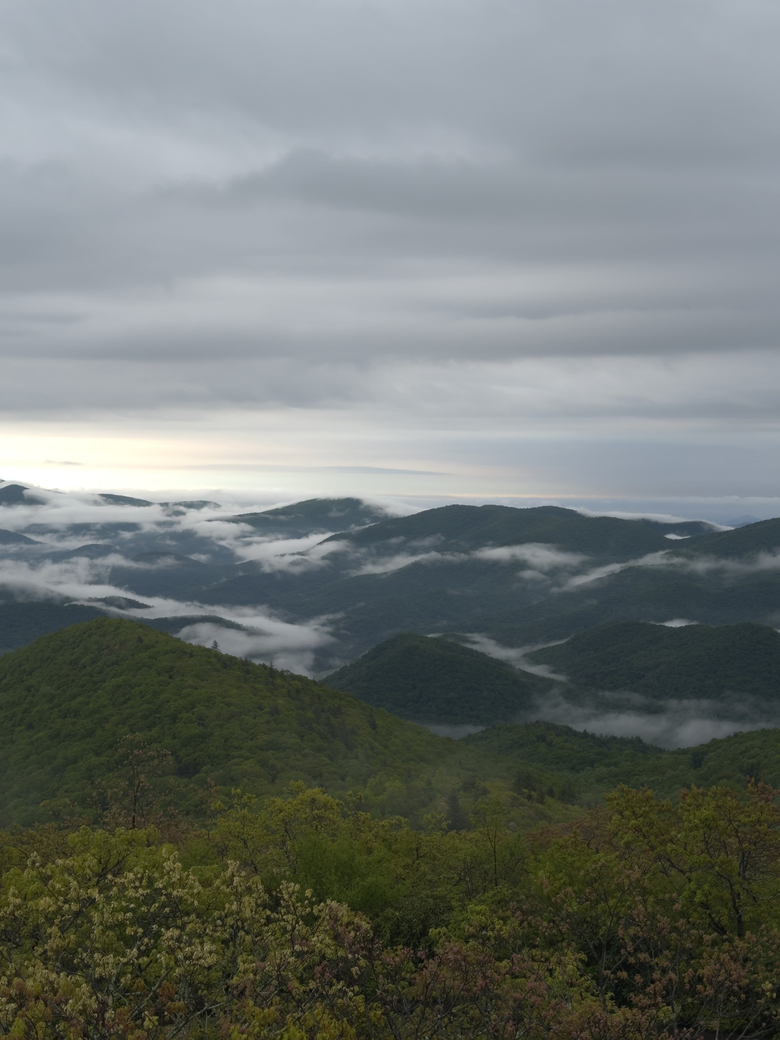 Brasstown Bald — Frame II